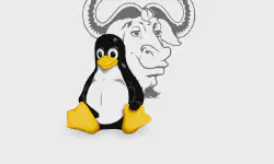 Featured image of post Create a LUKS encrypted EXT4 filesystem in a file under GNU/Linux